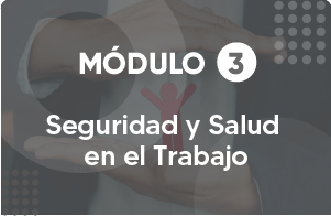 RHM03-0019 - Seguridad y Salud en el Trabajo
